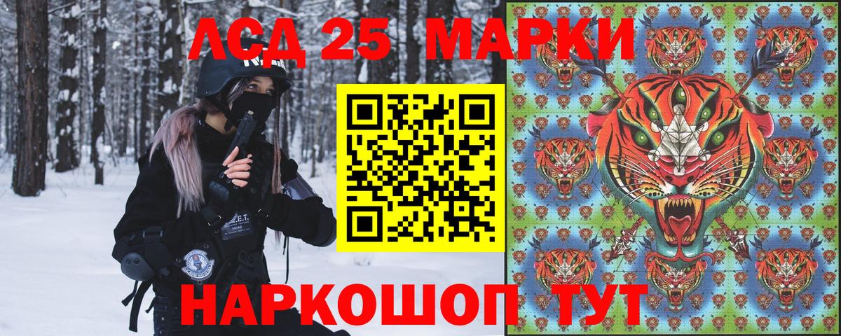 где можно купить наркотик  Наркотические марки 1,5мг  Наркотические марки  Вход с VPN  Бийск 
