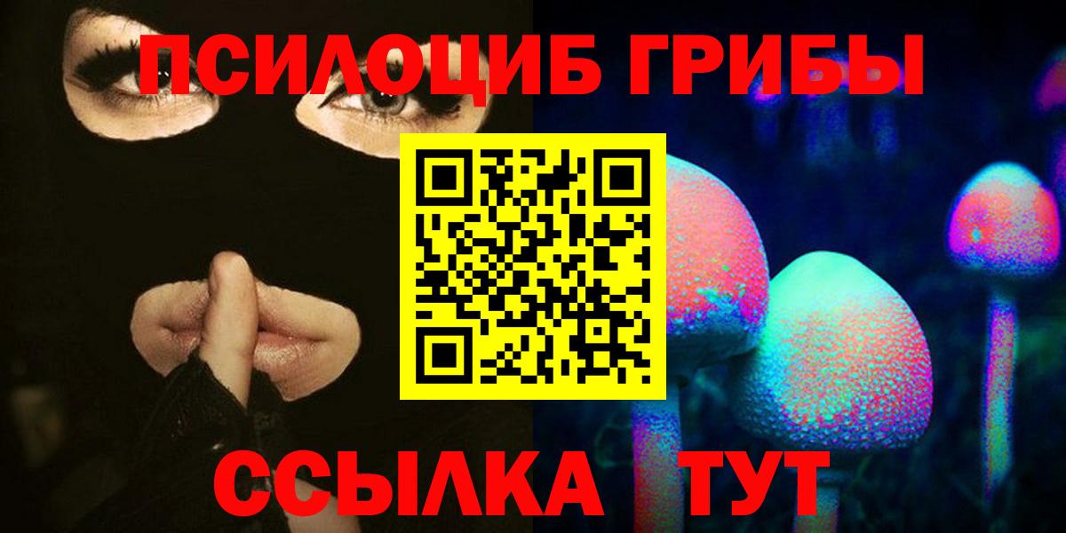 Псилоцибиновые грибы ЛСД  купить наркотики сайты  Бийск  Вход с VPN 